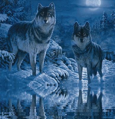 les loups